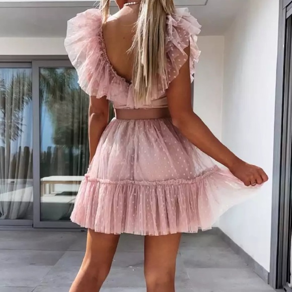 Pink Blush Ruffle Tulle Elegant Pleated Dress - Picture 5 of 16